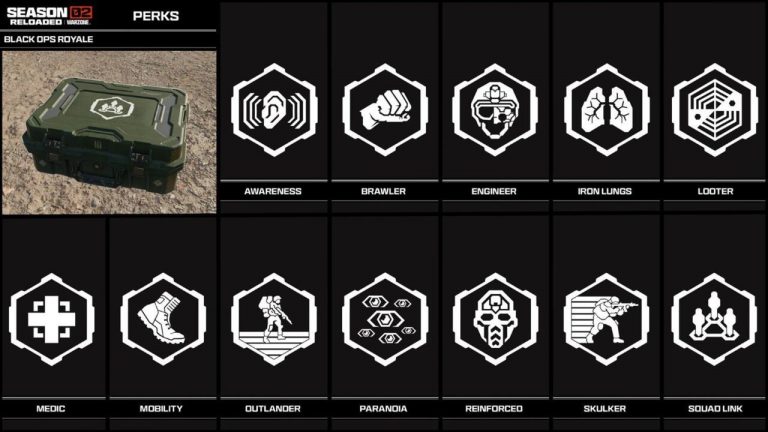 How Perks Work In CoD: Warzone Black Ops Royale