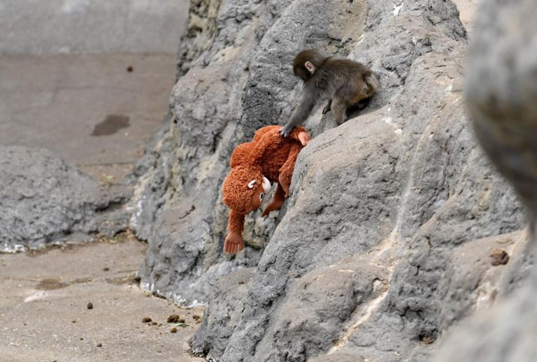 Today's Games Can Feel "Soulless," But Can Punch The Monkey Change That?